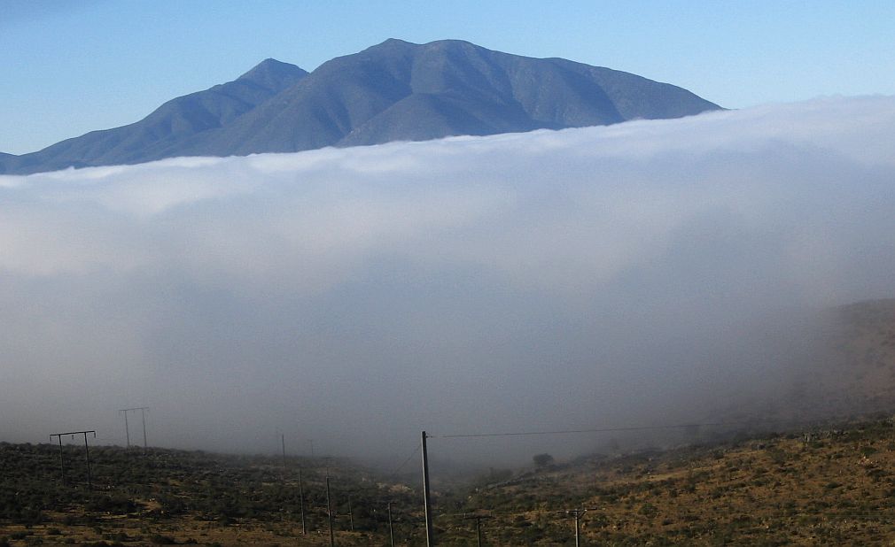 Pacific Ocean Fog Chilean Valley